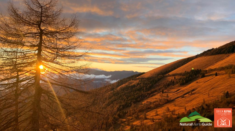 Un romantico tramonto 